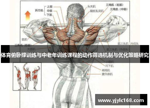 体育俯卧撑训练与中老年训练课程的动作筛选机制与优化策略研究